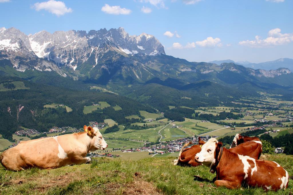 Cordial Sport Hotel Going Going am Wilden Kaiser Bagian luar foto